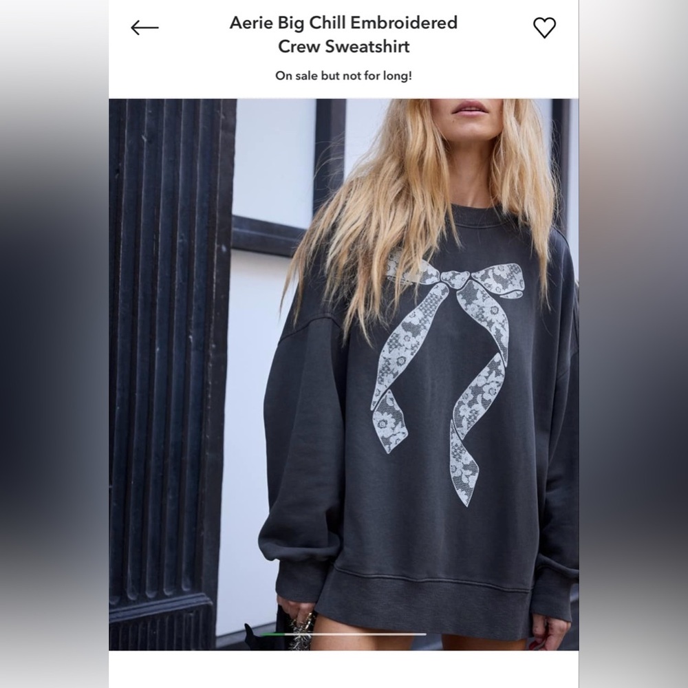 AE Big Chill Embroidered Bow Sweatshirt